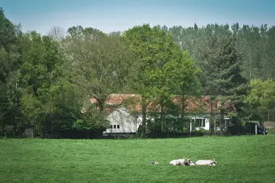 Image de Geestmolenhof 1: relaxing in the green near Leuven, For business or vacation.