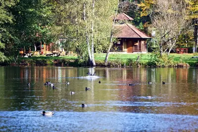 Image de Vacation apartment/apartment for 2 guests with 39m² in Ludwigswinkel (270796)