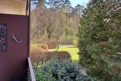 Image de Vacation apartment/apartment for 2 guests with 39m² in Ludwigswinkel (270798)