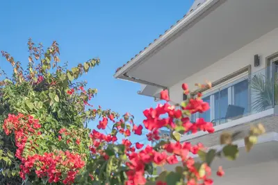 Image de Gold Coast Photography Inn