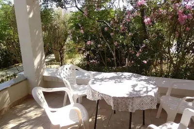 Image de Appartements Ivan (10594-A2) - Pag - île de Pag