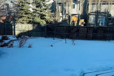 Image de Value, cozy house