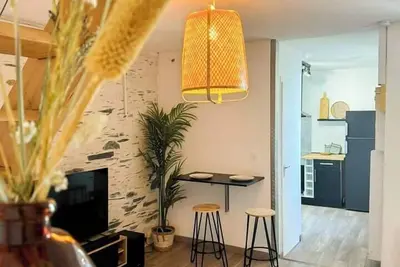 Image de Charmant duplex lumineux au cœur d’Angers