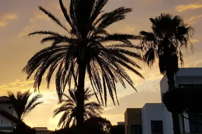 Image de Solarium, pool & views in Playa Flamenca! Small dogs accepted.