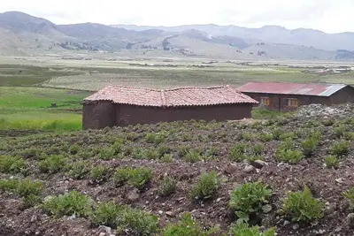 Charming Rural House in Yanaoca