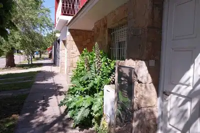 Image de Upstairs house with studio (pet friendly)