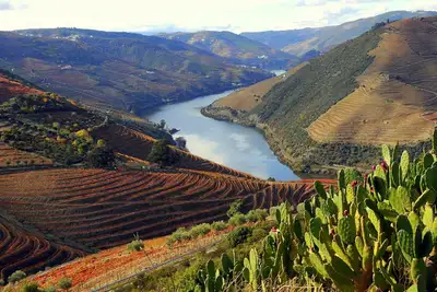 Image de Casa das Flores, grande villa avec piscine dans la Vallée du Douro