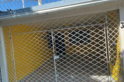Image de Charming 2-bedroom apartment in pleasant Kingston with Ac, WiFi