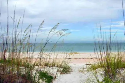 Image de Srq Oasis mid Cent mediterranean