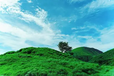 Image de Relax and Recharge in our Denver Hotel near the Airport