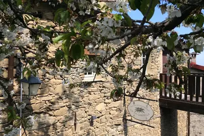 Image de Charming stone and wood vacation home in Liguria - natural idyll near Imperia