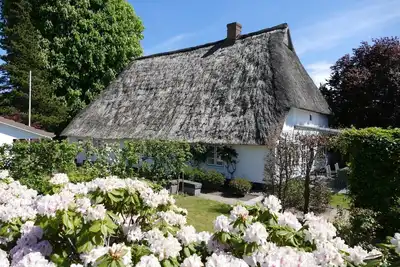Image de Country house to the old chestnut in Bohnert
