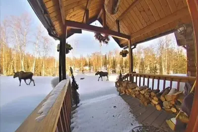Image de Waterfront Cabin Bungalow Private & Tranquil 13 miles from downtown Talkeetna