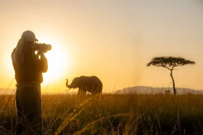 Image de Lion's Cradle by Hidden Retreats