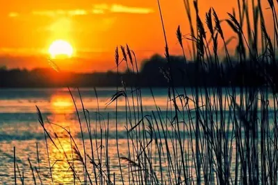 The Zen Den, The Delaware Zen Den