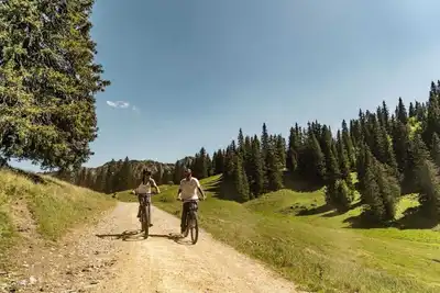 Image de Appartement Ă Chatel pour quatre personnes