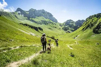 Image de Appartement à Chatel près du téléphérique
