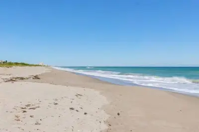Image de Amazing Family Beach Retreat | Oceanfront Suite w\/ Patio | Pets Allowed