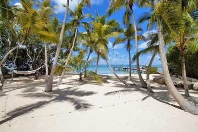 Image de Charming Beachfront Bungalow in Key Largo with private beach and boat.