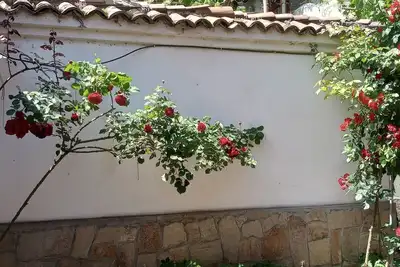 Image de Serenity and cozines in the heart of the Old Town of Plovdiv historical reserve