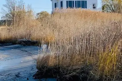 Image de Amazing views waterfront 3-bedroom home in Madison
