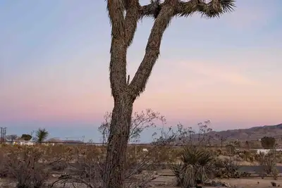 Image de Charming 2-bedroom house in wonderful Joshua Tree with Ac, WiFi, & Park views
