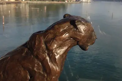 Image de Waterfront Penthouse! \nSausalito, Belvedere, Angel Island, Bay Bridge Views
