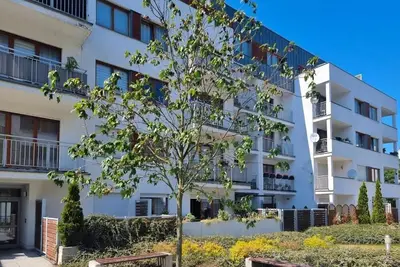 Image de Platan (Scandi)