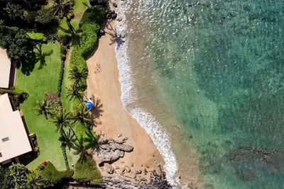 Image de Rare Find! Ocean and Beach Front Cottage!
