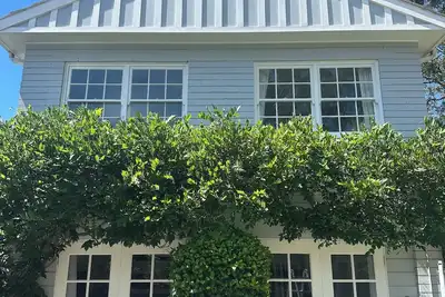 Image de Gorgeous Granny Flat on Sydney’s Leafy North Shore.