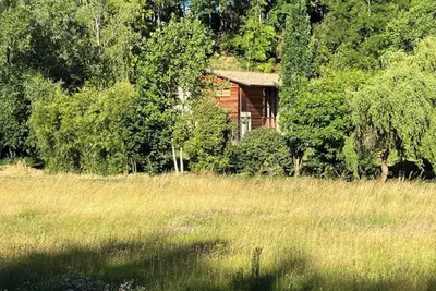 Image de Une chambre d'hôte dans les bois