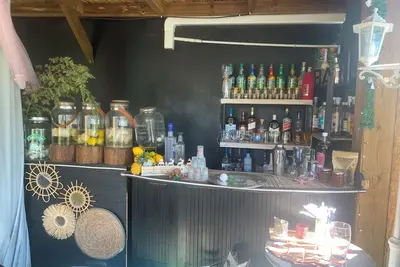 Image de L'ENDÉMIK CRÉOLE