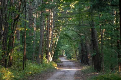 Image de Scenic Drive Resort - Cabin #6