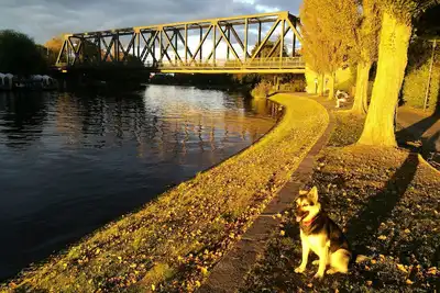 Image de Kleine Perle am Schwielowsee