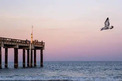 Image de House of Bliss - Luxurious New Beach Rental