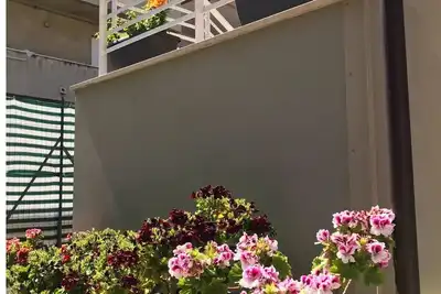 Image de Blue House