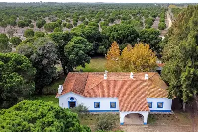 Image de Casa do Meio: Family Retreat with Pool, Lush Nature & Tranquility in Melides! !