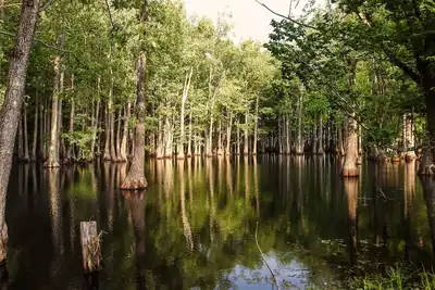 Image de Perfect Private Waterfront Getaway on Lake Lanier!
