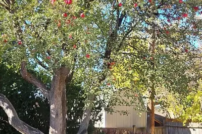 Image de Central Syringa Sanctuary in Idaho falls