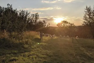 Image de Le Glamping by Horizon Mohair, espace Valériana!