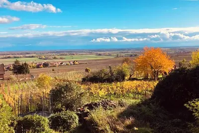 Image de Gîte Origin route des vins d’Alsace