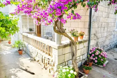 Image de Spacious flat with balcony near Old town
