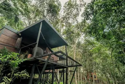El Bosque - Cabaña Arañan