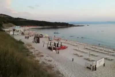 Image de Apartment 30 meters from the beach The sea roses