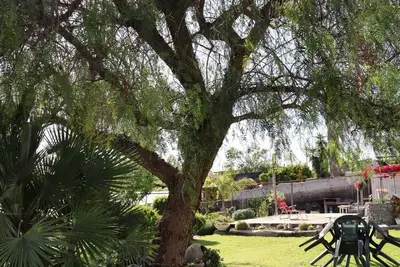 Image de Jardin enchanté à deux pas du centre
