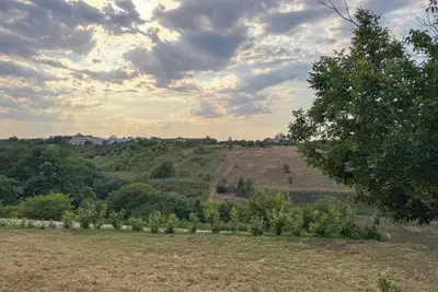 Image de All'ombra della quercia