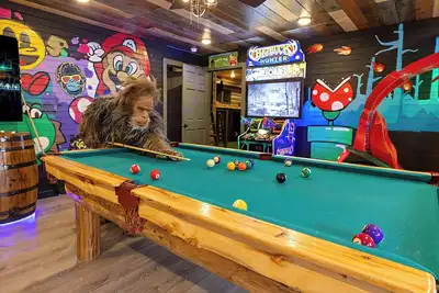 Image de Sasquatch Encounter - Arcade & Theater
