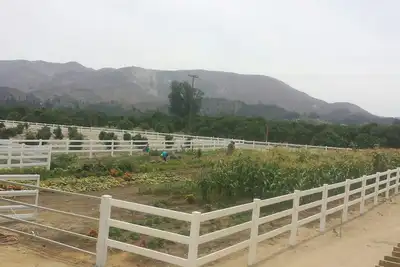 Image de Treehouse and farm stay in Fillmore