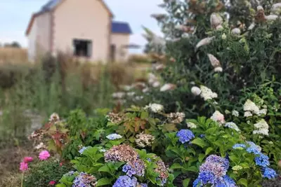 Image de Charmant cottage dans les champs