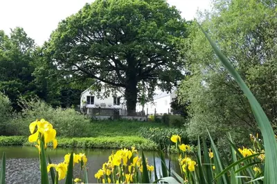 Image de La maison de l étang